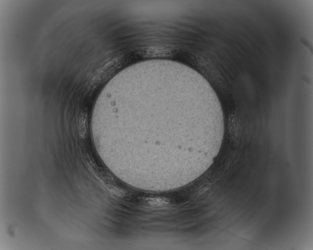 X0000100850741200807181056