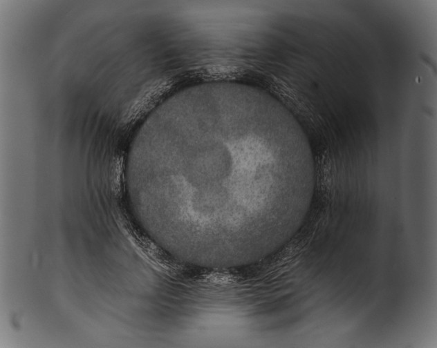 X0000100850742200807181056