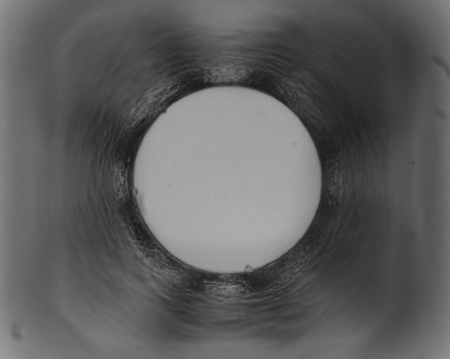 X0000100850743200807181056