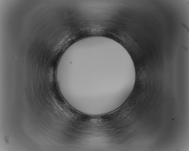 X0000100850744200807181056