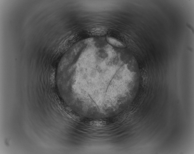 X0000100850745200807181056