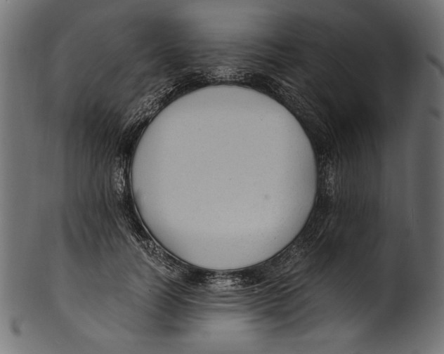 X0000100850746200807181056