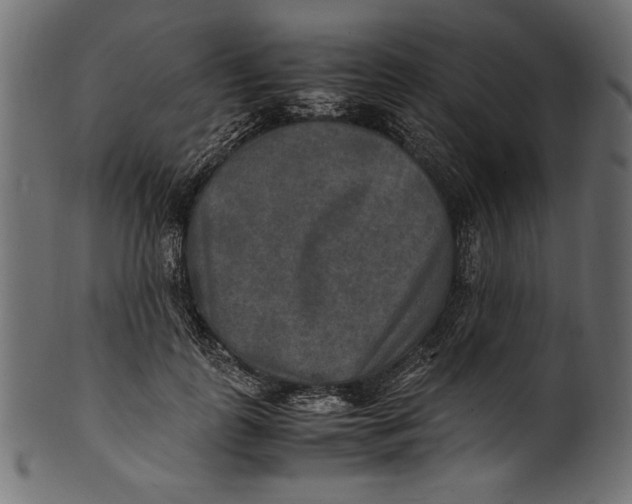 X0000100850747200807181056