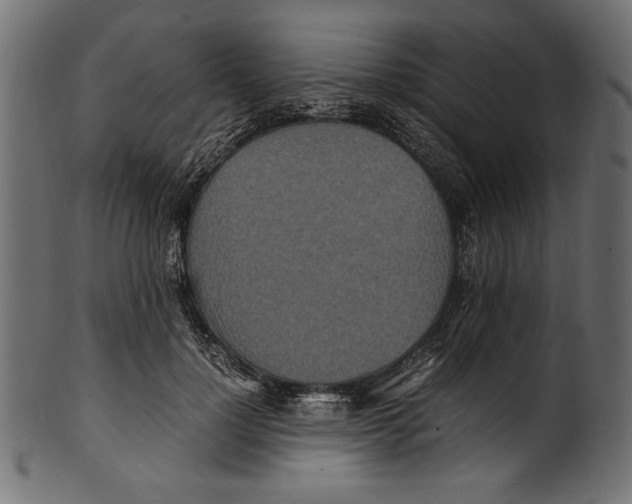 X0000100850748200807181056
