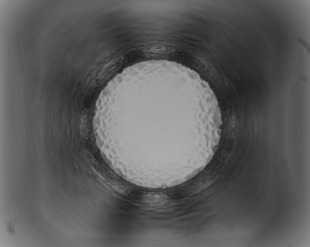 X0000100850749200807181056