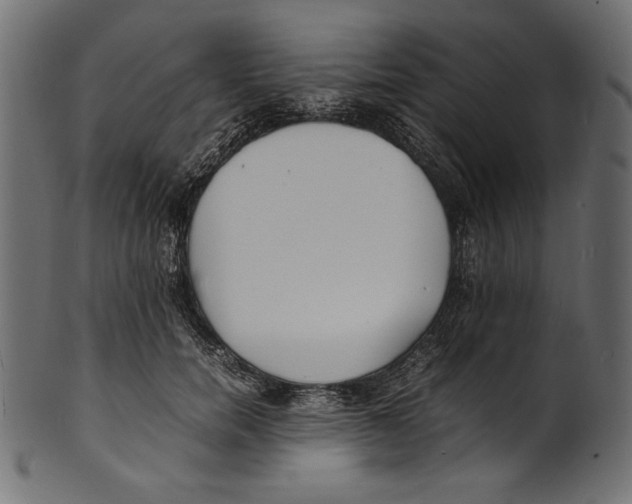 X0000100850750200807181056
