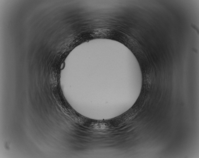 X0000100850751200807181056