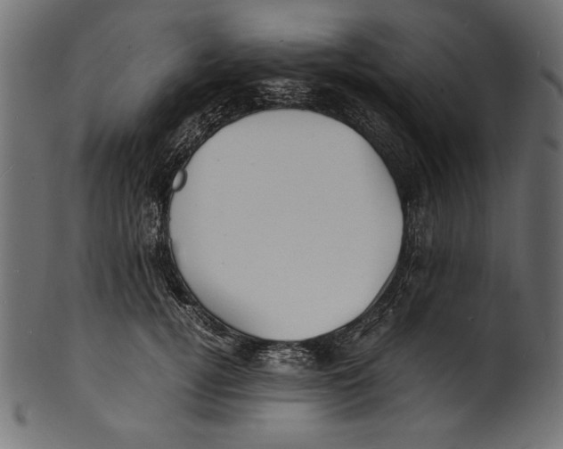 X0000100850752200807181056