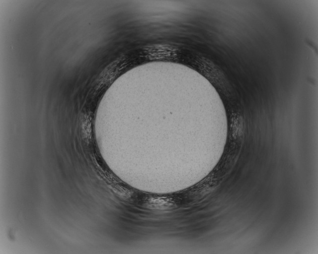 X0000100850753200807181056