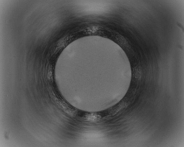 X0000100850754200807181056