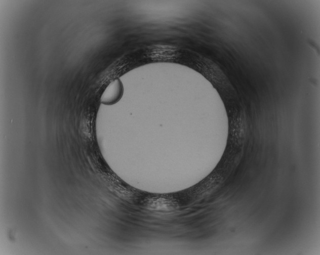 X0000100850755200807181056