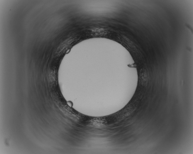 X0000100850756200807181056