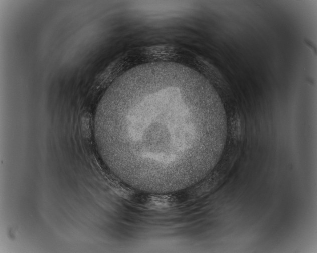 X0000100850757200807181056