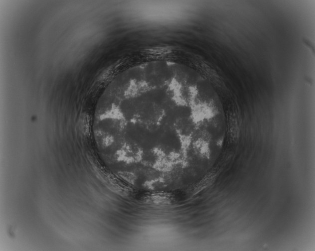 X0000100850758200807181056
