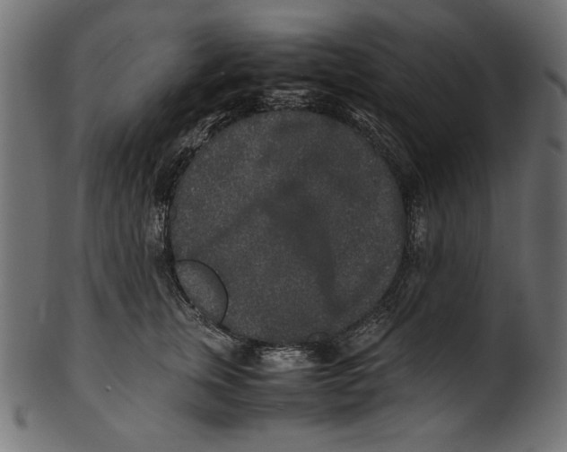 X0000100850759200807181056
