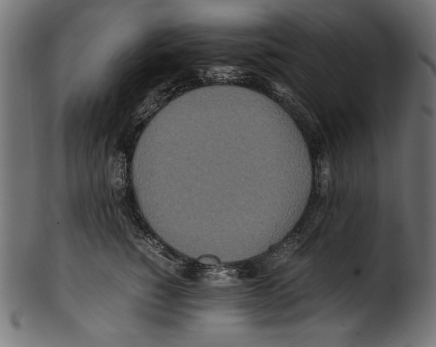X0000100850760200807181056