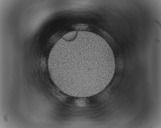 X0000100850761200807181056