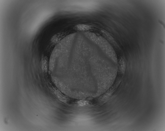 X0000100850762200807181056