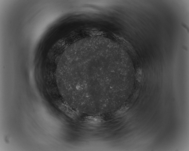 X0000100850763200807181056