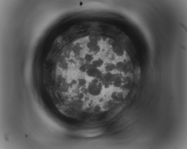X0000100850765200807181056
