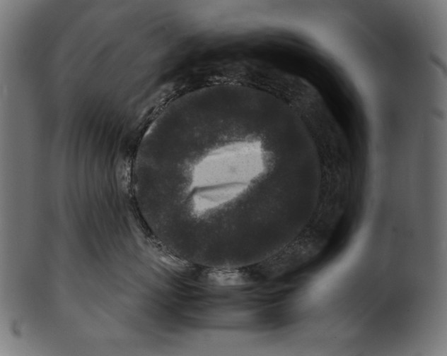 X0000100850767200807181056
