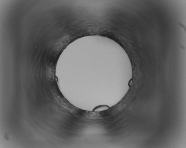 X0000100850768200807181056
