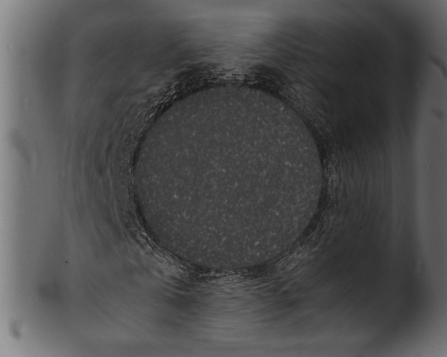 X0000100850769200807181055