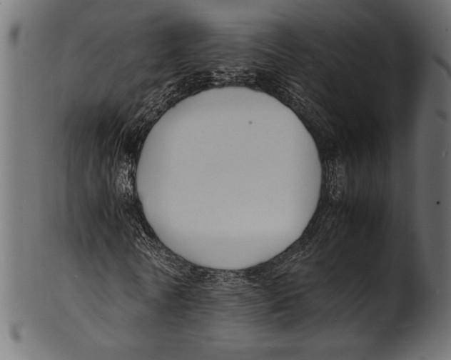 X0000100850770200807181055