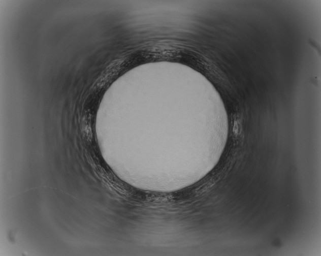 X0000100850771200807181055