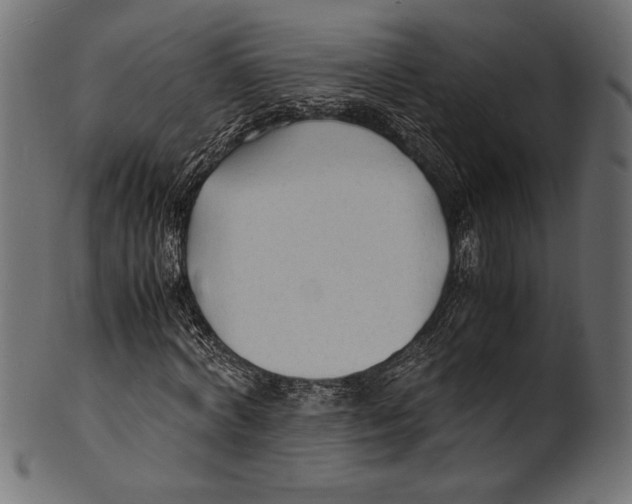 X0000100850772200807181055