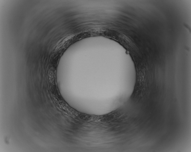 X0000100850773200807181055