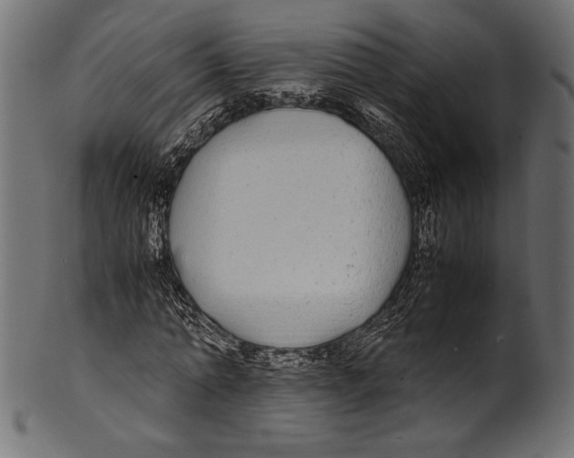 X0000100850774200807181055