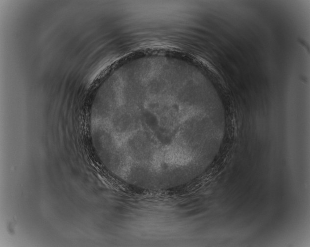 X0000100850775200807181055