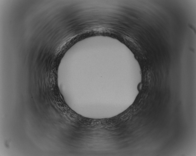 X0000100850776200807181055