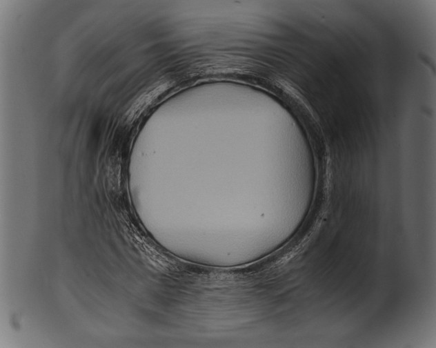 X0000100850777200807181055