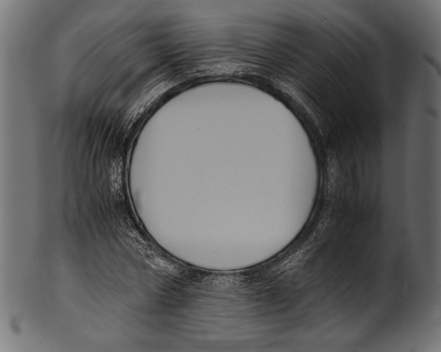 X0000100850778200807181055