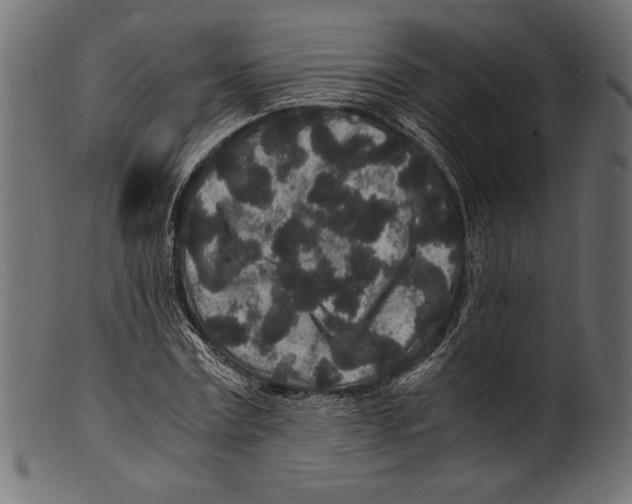 X0000100850779200807181055