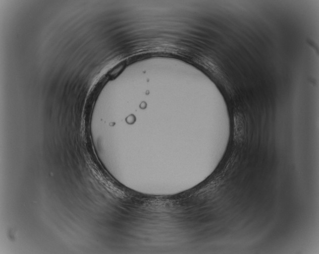 X0000100850780200807181055
