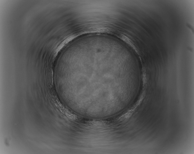 X0000100850781200807181055