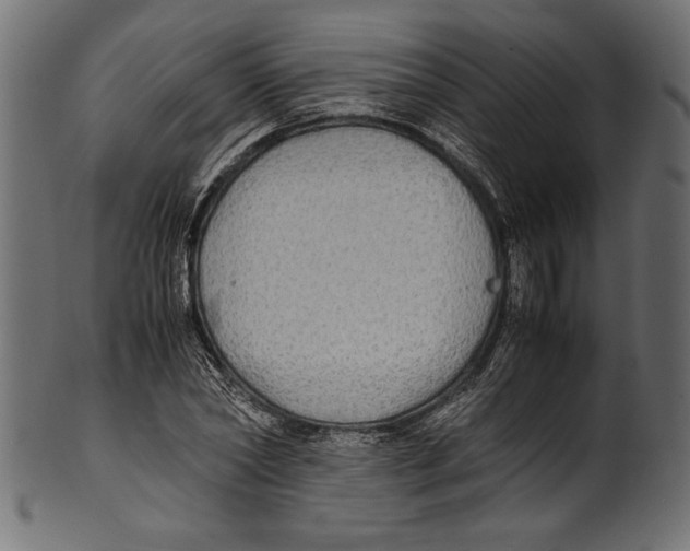 X0000100850782200807181055
