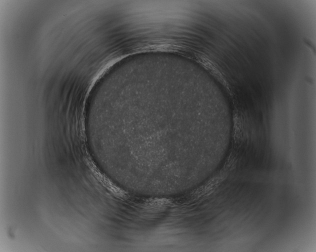 X0000100850784200807181055