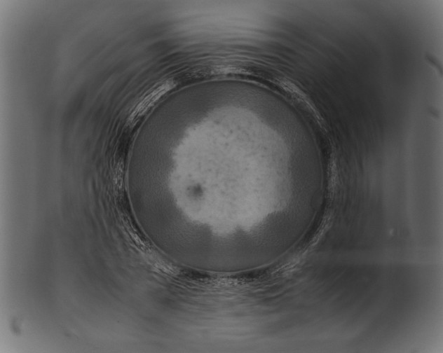 X0000100850785200807181055