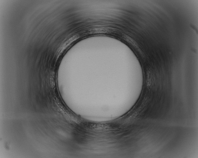 X0000100850786200807181055