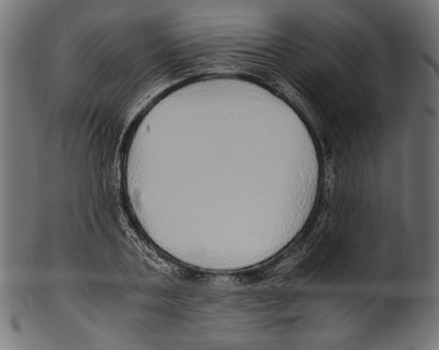 X0000100850787200807181055