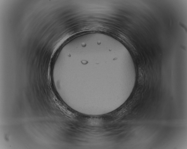 X0000100850788200807181055
