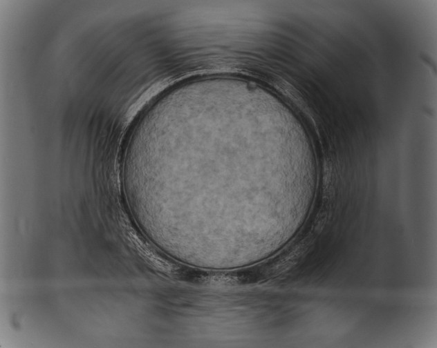X0000100850789200807181055