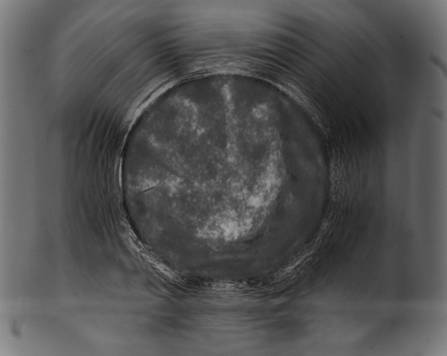 X0000100850790200807181055