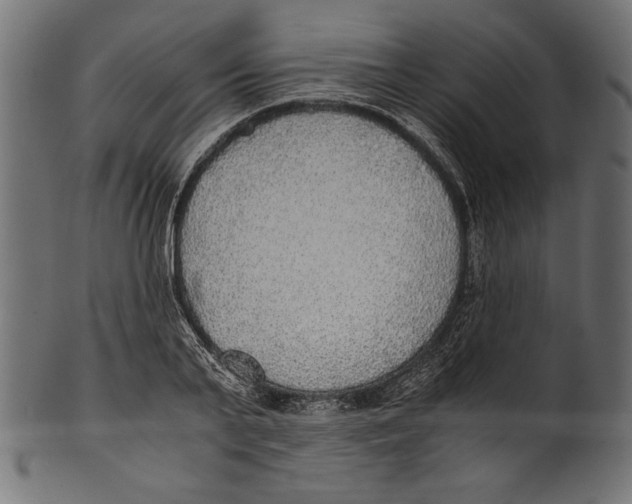 X0000100850791200807181055