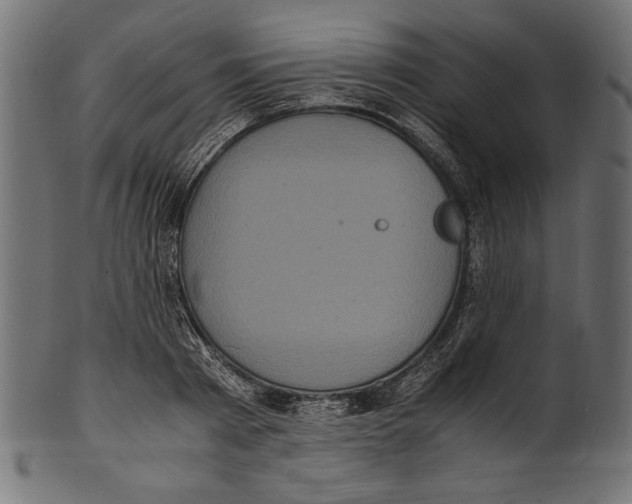 X0000100850793200807181055