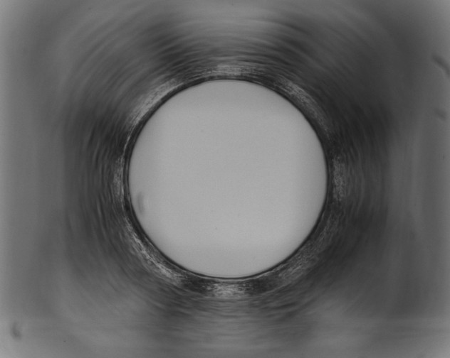 X0000100850794200807181055